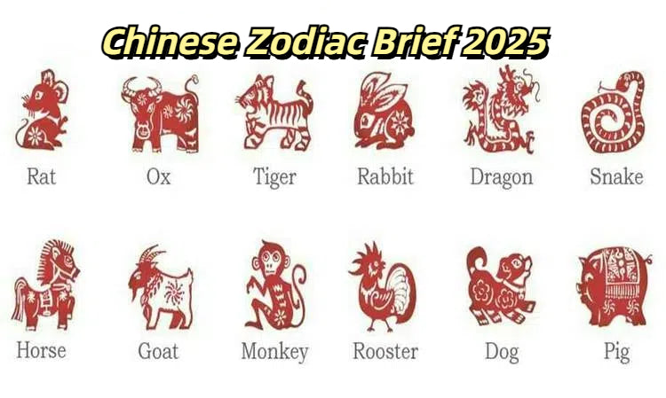 2025 Chinese Zodiac Horoscope: Unlock Your Year of Growth, Fortune, and Harmony with Feng Shui Insights