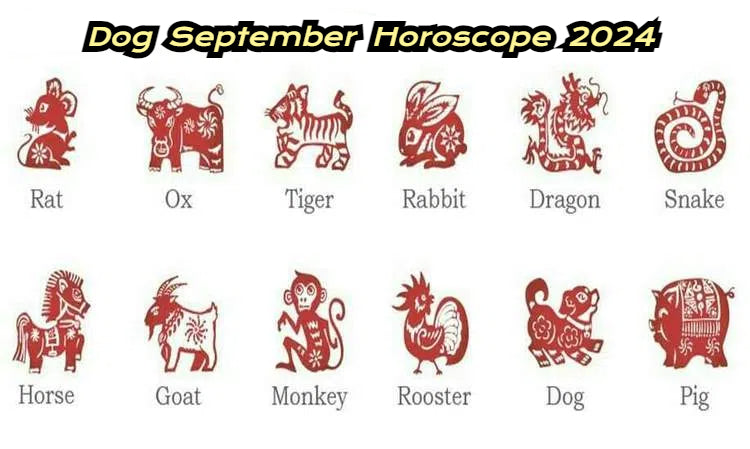 September 2024 Horoscope for Dogs: Career, Finance, Love, and Health Insights