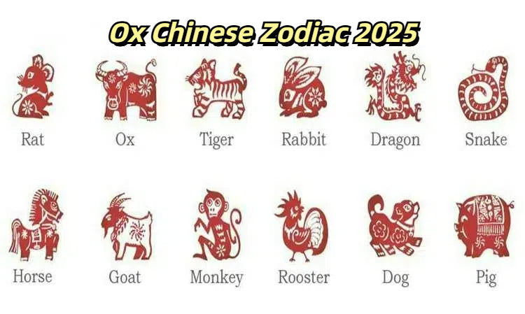 Ox Chinese Zodiac 2025: Love, Career, Finance, Health, and Monthly Predictions