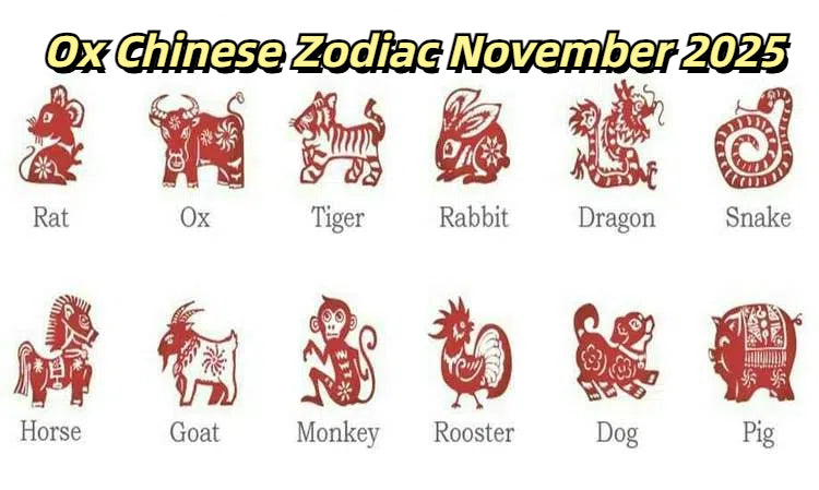 November 2024 Ox Horoscope: Career Stability, Financial Guidance, and Love Advice