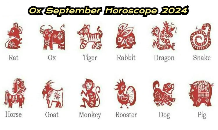 September 2024 Zodiac Ox Forecast: Career, Finance, Love, and Health Insights