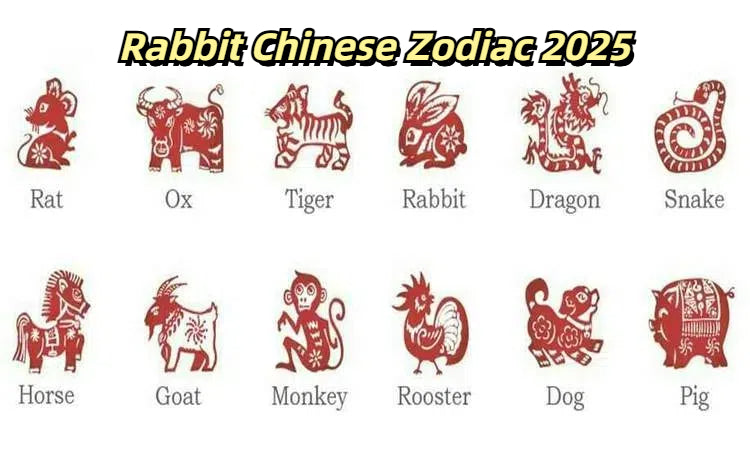 Rabbit Chinese Zodiac 2025: Love, Career, Finance, Health, and Monthly Predictions