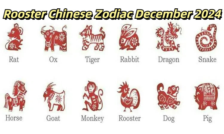 December 2024 Rooster Horoscope: Career Insights, Financial Tips, and Love Guidance