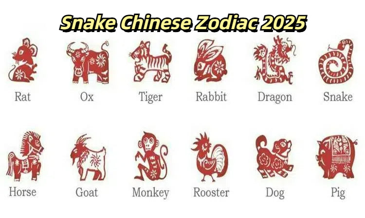 Snake Chinese Zodiac 2025: Love, Career, Finance, Health, and Monthly Predictions